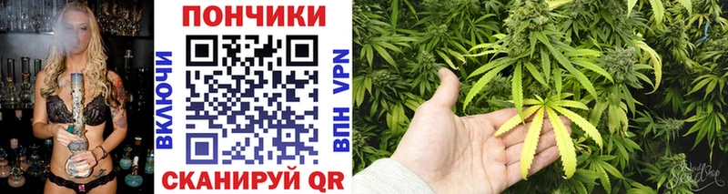 Каннабис THC 21%  Купить закладки  Гатчина 